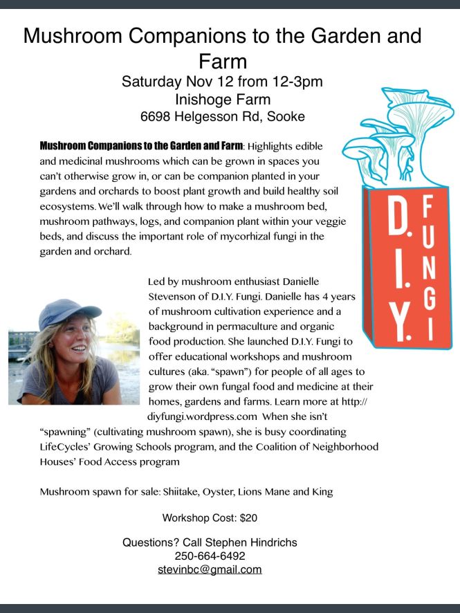 sooke-workshop-poster