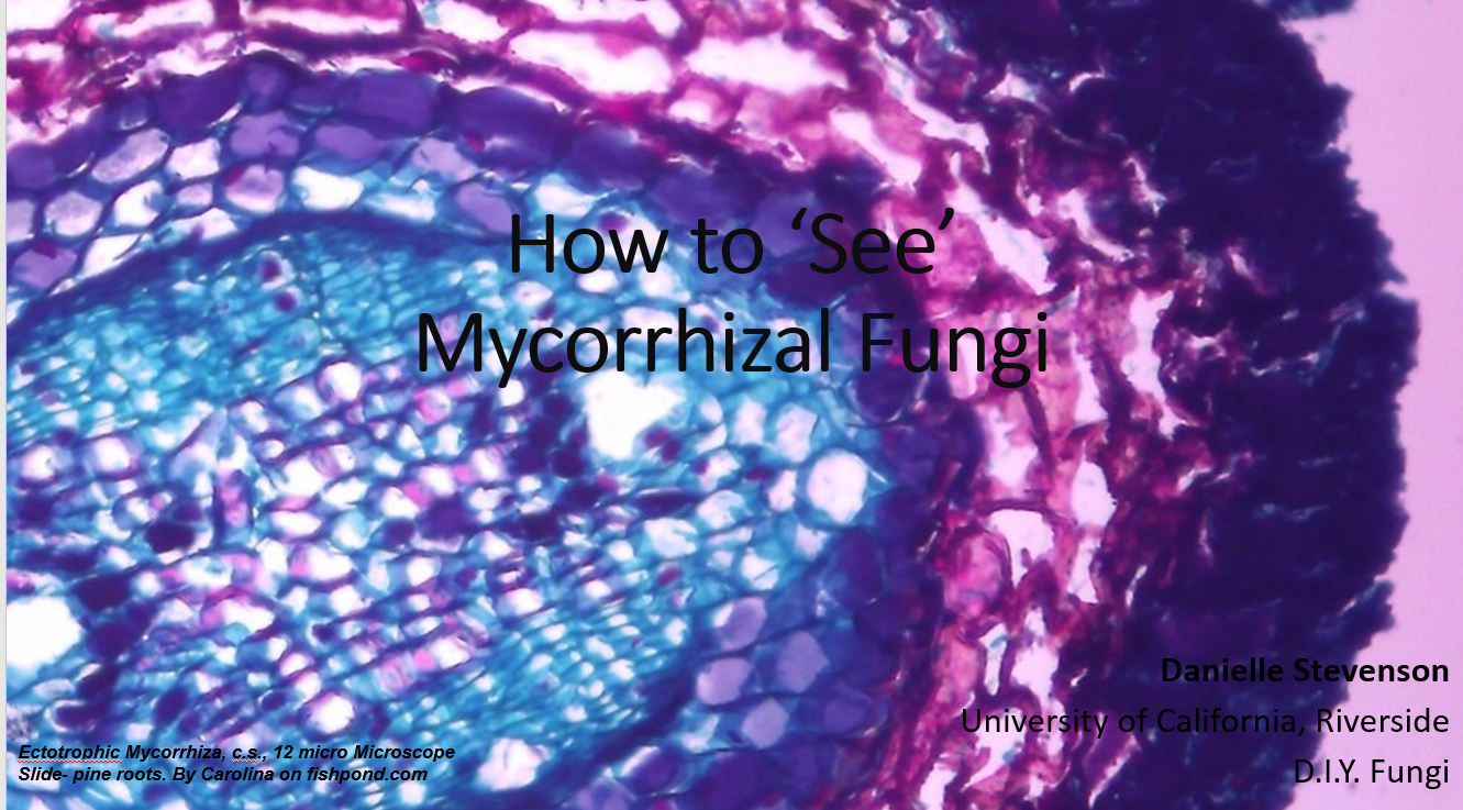 how to see mycorhiza screenshot