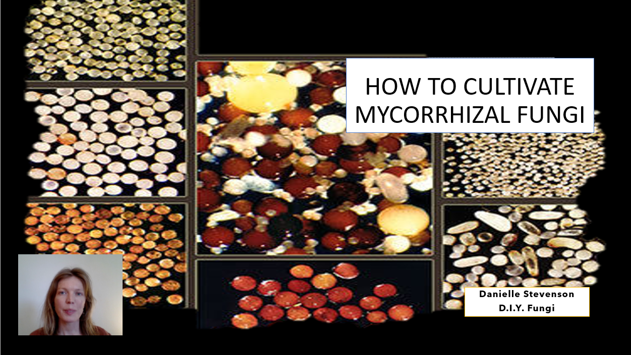 screenshot how to cultivate AMF