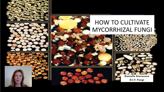 screenshot how to cultivate AMF